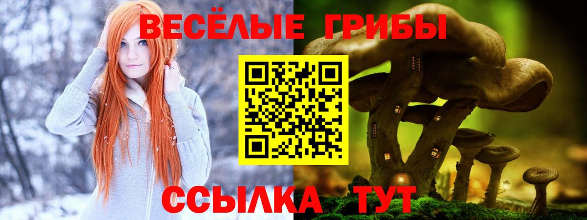 Псилоцибиновые грибы мухоморы Вязьма