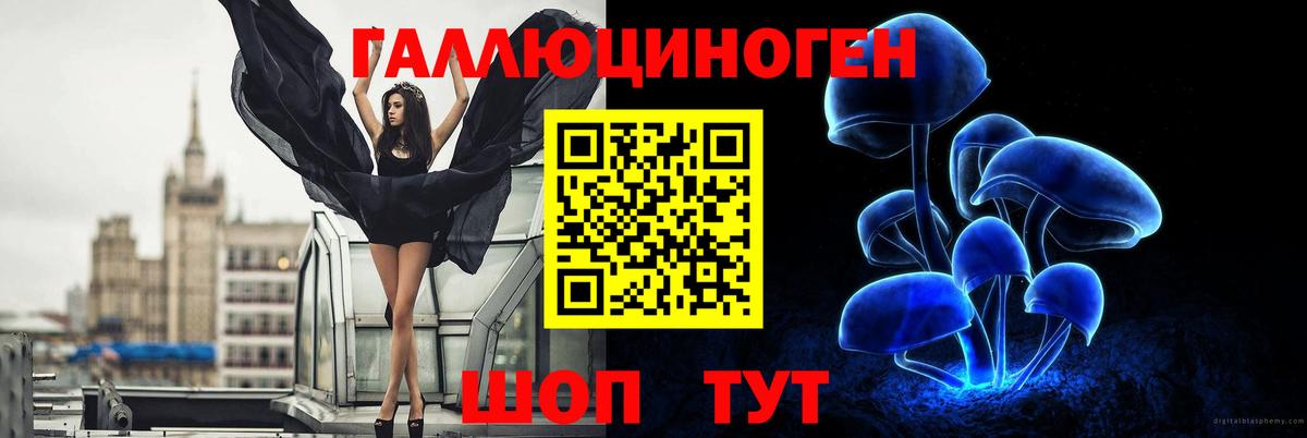 Вязьма  Галлюциногенные грибы мицелий  Вход с VPN 
